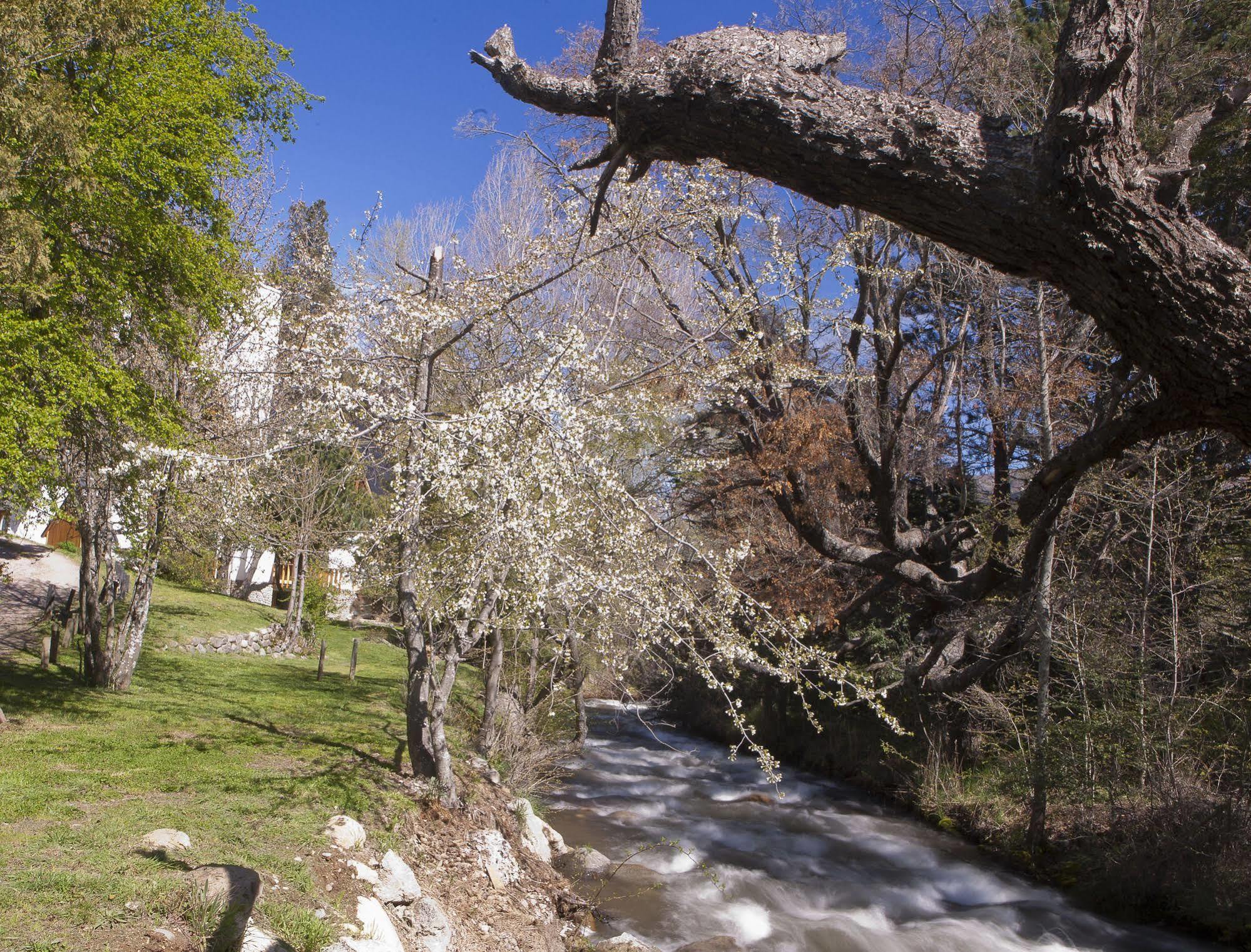 Cabanas Rucaleufu San Martín de los Andes Exteriör bild