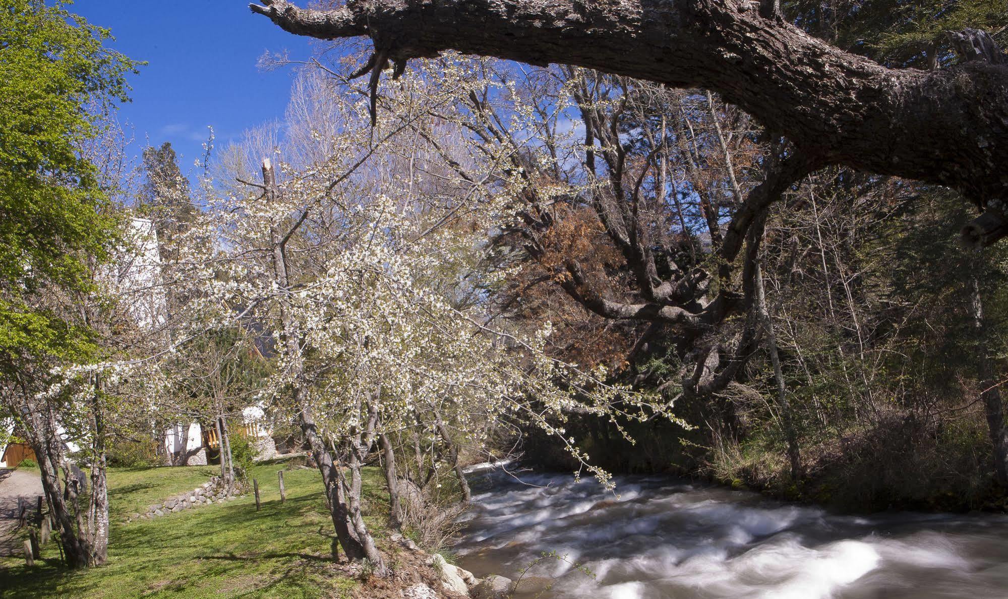 Cabanas Rucaleufu San Martín de los Andes Exteriör bild